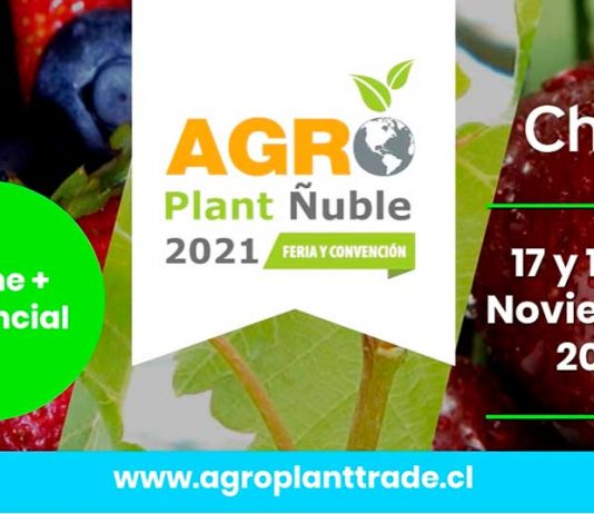 Agro Plant Ñuble 2021: encuentro anual del agro organizado por los viveristas de Chile también hablará de la situación actual en la producción de arándanos