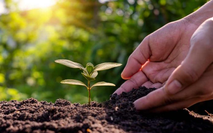 Agronomía UdeC desarrolla serie de investigaciones para mitigar el cambio climático