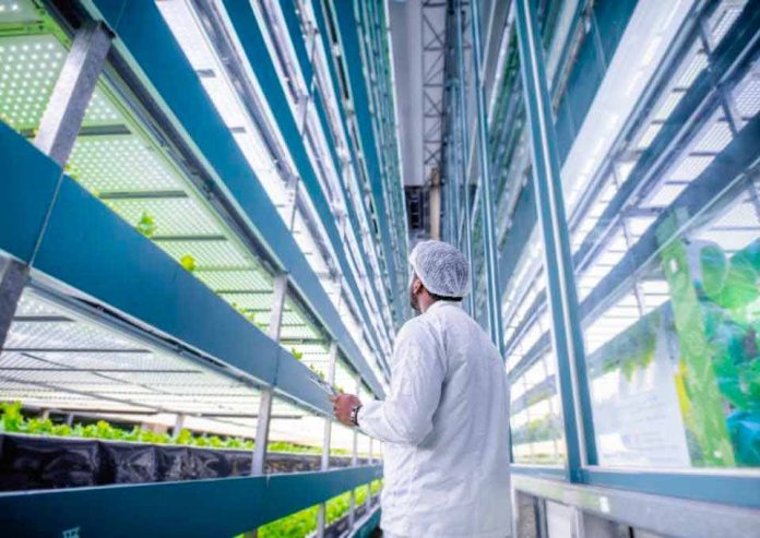Agrourbana cierra ronda por US$ 4 millones que le permitirá consolidar su liderazgo regional en el desarrollo de la agricultura vertical