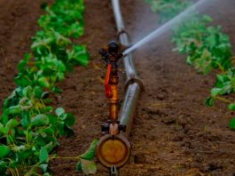 Avanza programa hídrico para productores de Coquimbo y Atacama tras emergencia agrícola