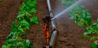 Avanza programa hídrico para productores de Coquimbo y Atacama tras emergencia agrícola