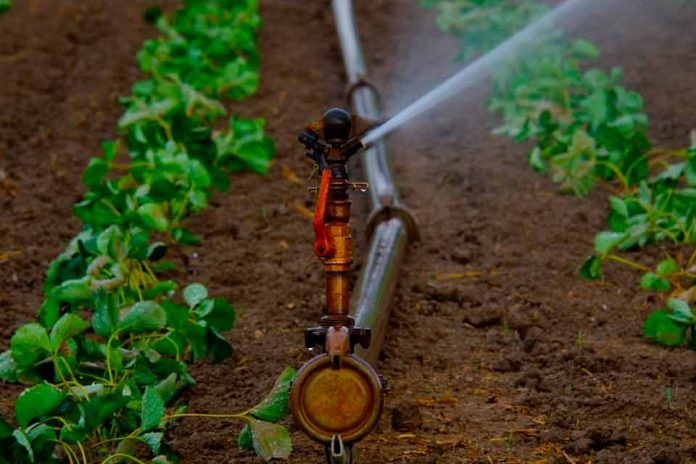 Avanza programa hídrico para productores de Coquimbo y Atacama tras emergencia agrícola