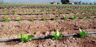 CNR invita a pequeños agricultores a presentar sus proyectos de obras civiles y tecnificación a nuevo concurso por $1.300 millones