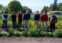 Derechos de agua en la pequeña agricultura: Convenio INDAP DGA permitirá contar con equipo de apoyo y gestión en todas las regiones