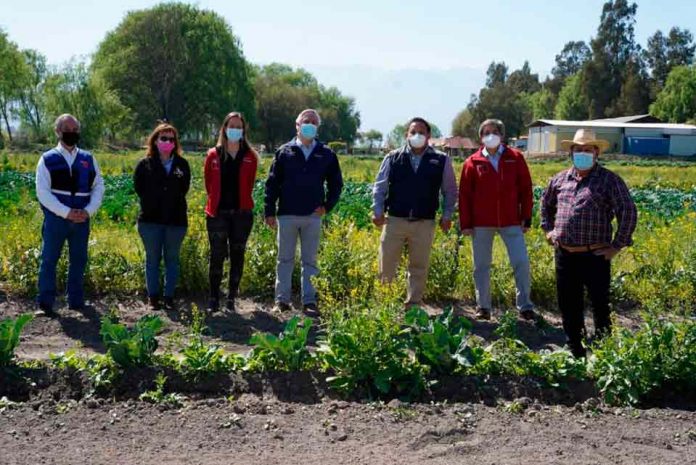 Derechos de agua en la pequeña agricultura: Convenio INDAP DGA permitirá contar con equipo de apoyo y gestión en todas las regiones