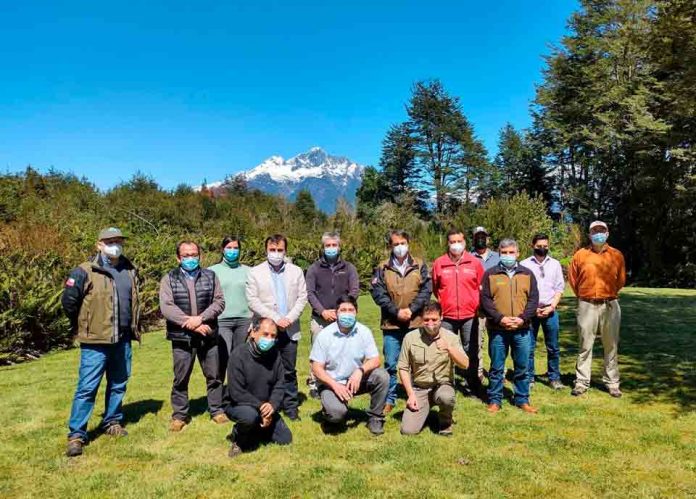 Entran en vigencia planes de manejos para los parques nacionales Pumalín y Corcovado