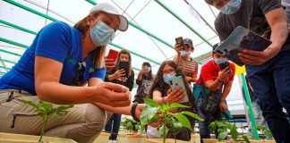 Estudiantes de San Pedro de Atacama fortalecen su especialidad agrícola con gira tecnológica