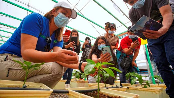 Estudiantes de San Pedro de Atacama fortalecen su especialidad agrícola con gira tecnológica