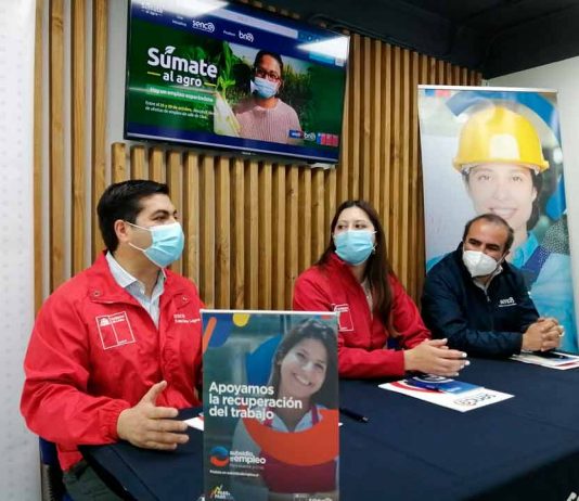 Feria laboral ofrece vacantes de trabajo para el sector agrícola del Biobío 