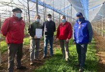 Fortalecen inversión en riego como estrategia para enfrentar cambio climático 