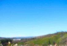 Fundación Reforestemos lanza programas de conservación para terrenos privados
