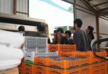 Gobierno Regional del Biobío y Universidad Andrés Bello lideran seminario para el sector agroindustrial de la Región