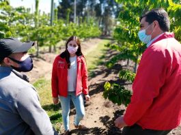 Gobierno lanza “Súmate al Agro” para impulsar puestos de trabajo en el sector agrícola del Biobío 