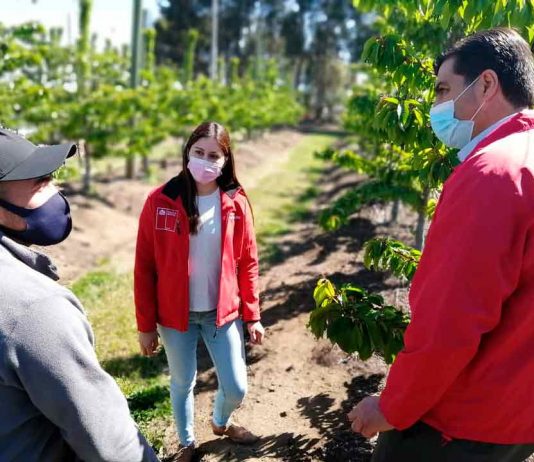 Gobierno lanza “Súmate al Agro” para impulsar puestos de trabajo en el sector agrícola del Biobío 