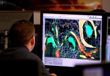 IBM presenta software de inteligencia ambiental impulsado por IA, para ayudar a empresas a abordar los objetivos de sostenibilidad y riesgo climático