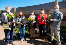 INFOR apuesta por la conservación de la araucaria con proyecto de migración asistida desde Biobío