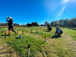 INIA da a conocer avances en materia de sustentabilidad ambiental y carbono neutralidad al año 2050