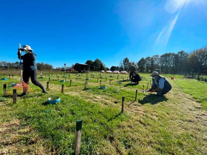 INIA da a conocer avances en materia de sustentabilidad ambiental y carbono neutralidad al año 2050