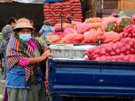  Ministerios del trabajo y agricultura llaman a postular a vacantes de trabajo en el sector agrícola 