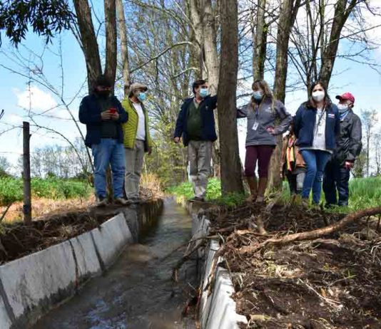 Obra de riego asociativo INDAP beneficiará a 144 regantes de San Carlos