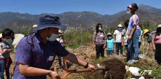 Picnic familiar y recetas saludables convocaron a familias en La Ciencia de comer sano