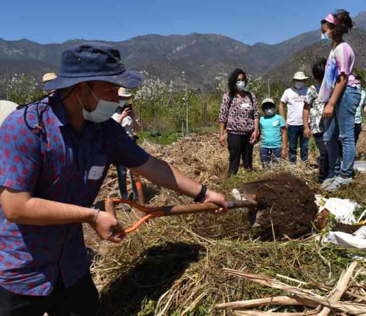 Picnic familiar y recetas saludables convocaron a familias en La Ciencia de comer sano