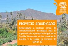 Programa MTI se adjudica proyecto Acción Social en apoyo de agricultores de Cabildo y La Ligua