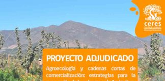 Programa MTI se adjudica proyecto Acción Social en apoyo de agricultores de Cabildo y La Ligua
