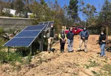 Proyectos de riego mejoran producción de hortalizas y berries de agricultores del Prodesal de Tomé