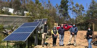 Proyectos de riego mejoran producción de hortalizas y berries de agricultores del Prodesal de Tomé