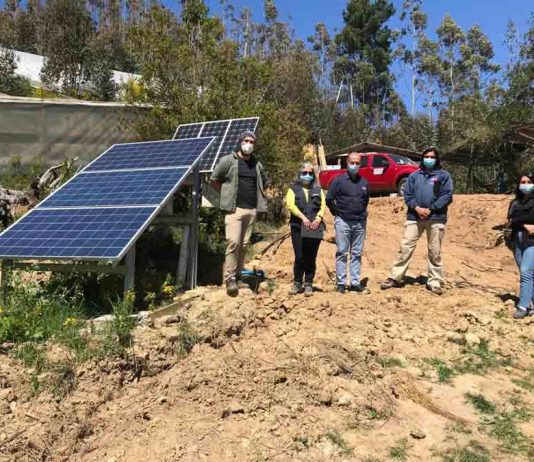 Proyectos de riego mejoran producción de hortalizas y berries de agricultores del Prodesal de Tomé