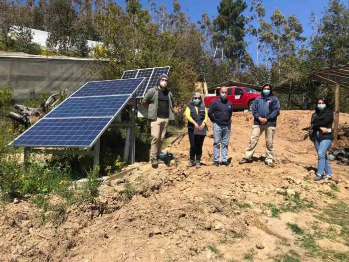 Proyectos de riego mejoran producción de hortalizas y berries de agricultores del Prodesal de Tomé
