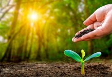 Recuperación biológica del suelo para enfrentar el cambio climático