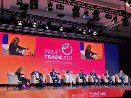Reencuentro masivo de la industria frutícola #Fruittrade 2021