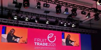 Reencuentro masivo de la industria frutícola #Fruittrade 2021