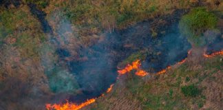 Se realiza el 1er seminario por la “Protección contra Incendios Forestales en la región Metropolitana”