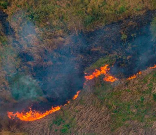 Se realiza el 1er seminario por la “Protección contra Incendios Forestales en la región Metropolitana”