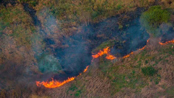 Se realiza el 1er seminario por la “Protección contra Incendios Forestales en la región Metropolitana”