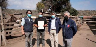 Sequía en Valparaíso: Comienza entrega de bono de emergencia a más de 3 mil pequeños ganaderos y apicultores