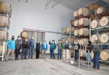 Primer vino Fair Trade de cepas ancestrales de Ñuble realizarán empresa campesina Moscin y Casas Patronales