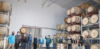 Primer vino Fair Trade de cepas ancestrales de Ñuble realizarán empresa campesina Moscin y Casas Patronales