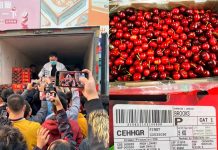 Llegan a China las primeras cerezas de la temporada 2021 2022
