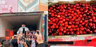 Llegan a China las primeras cerezas de la temporada 2021 2022