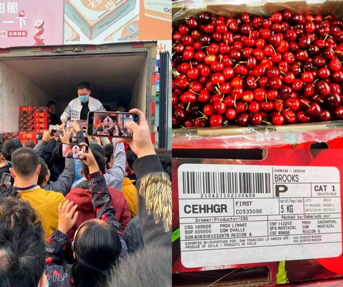 Llegan a China las primeras cerezas de la temporada 2021 2022
