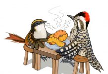Centro Ceres publica artículo sobre capacidad olfativa de aves para detectar insectos