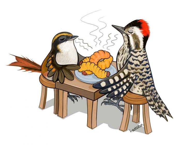 Centro Ceres publica artículo sobre capacidad olfativa de aves para detectar insectos