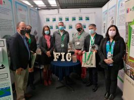 Destacan exitosa participación del Instituto Forestal en Expocorma 2021 del Biobío  