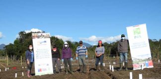 Especialistas de INIA establecieron Unidades Demostrativas de producción de papa en las comunas de Futaleufú y Ayacara