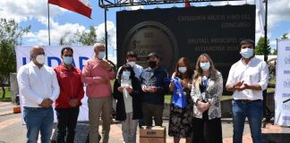Espumante de Ránquil logra el gran oro en 8° concurso del vino de Indap