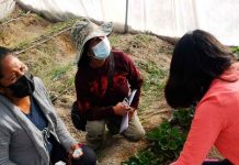 Experta de Agronomía UdeC realiza capacitación a comunidades Aymaras en Putre